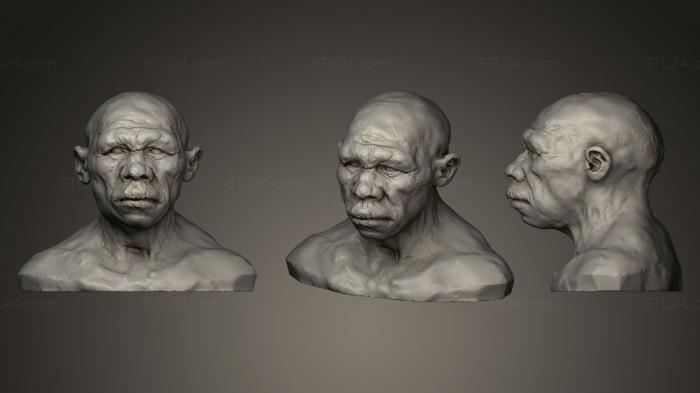 Бюсты и головы античные и исторические (Неандерталец, BUSTA_0103) 3D модель для ЧПУ станка
